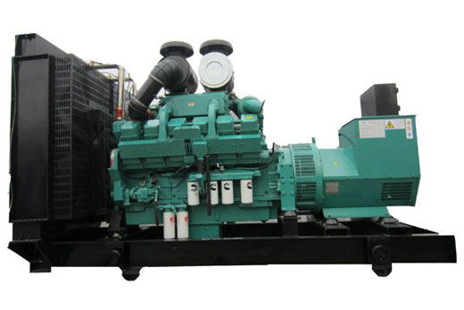 贞丰柴油发电机组