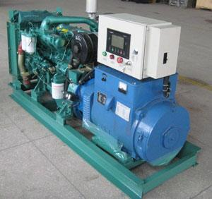 贞丰发电机出租